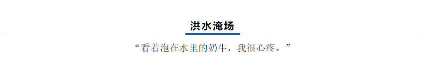 【乳報(bào)·聚焦】“豫”難而上的中原牛人“太中了”！